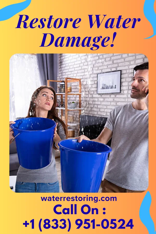 water restoration Apex Water Mitigation Group Hyde Park