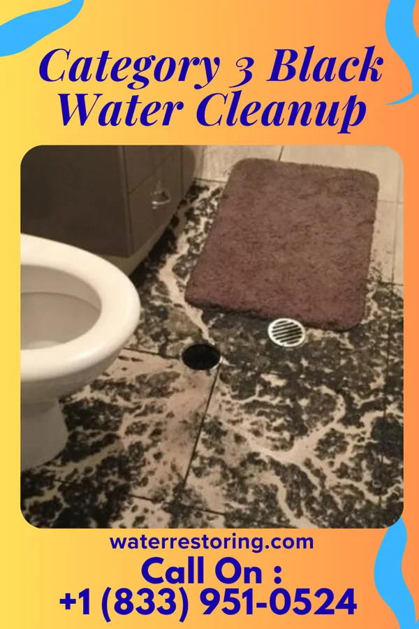 Category 3 Black Water Cleanup in Hyde Park, PA