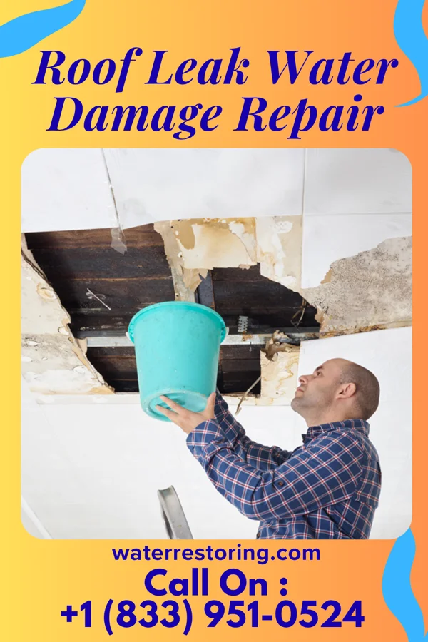 Roof Leak Water Damage Repair in Hyde Park, PA