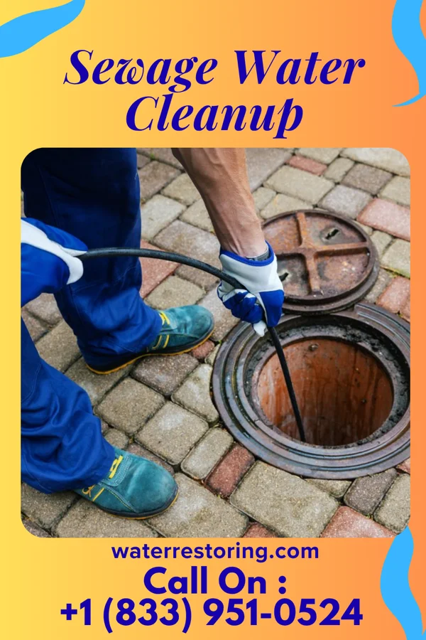Sewage Water Cleanup in Hyde Park, PA