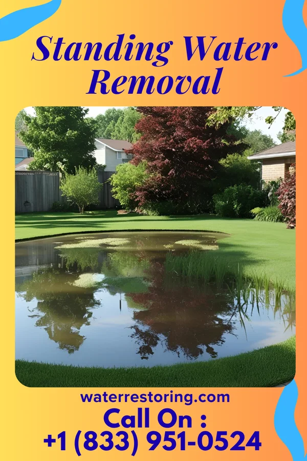 Standing Water Removal in Hyde Park, PA